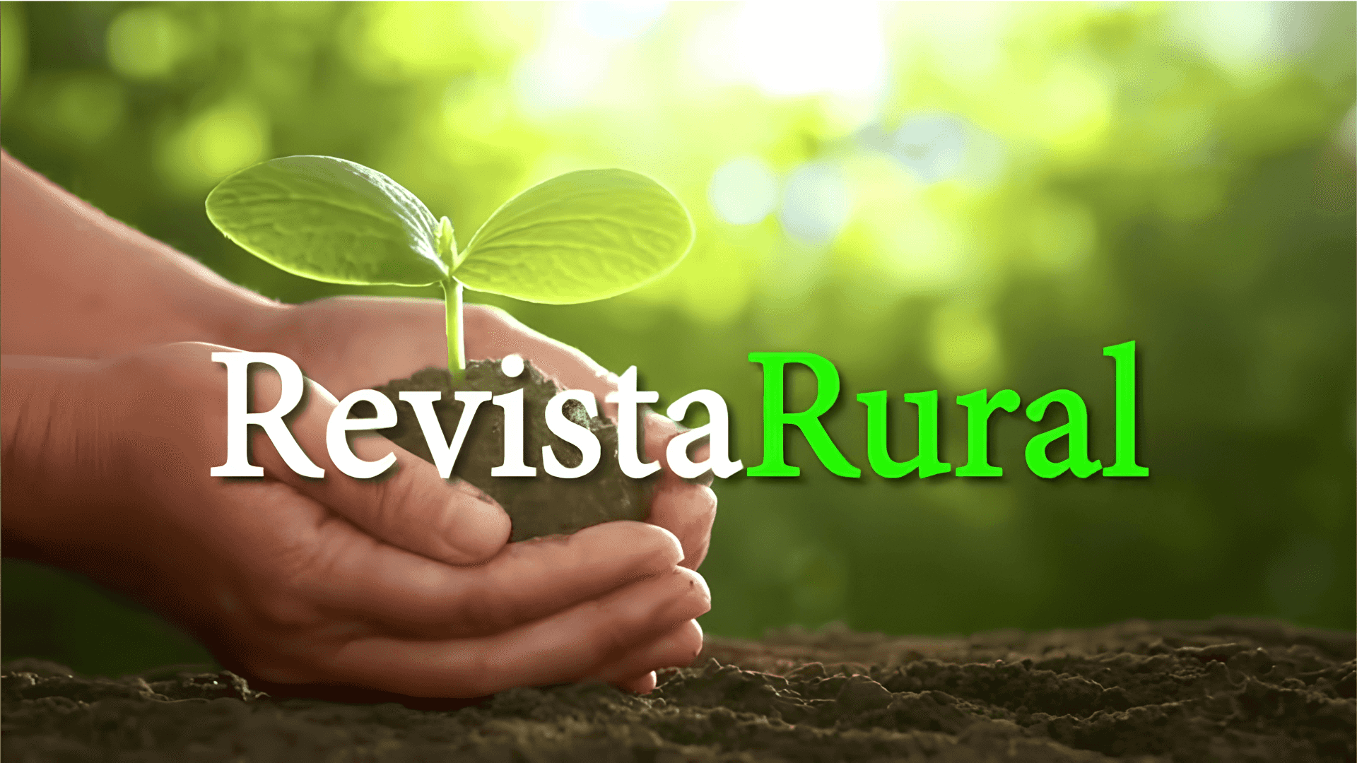 Revista Rural