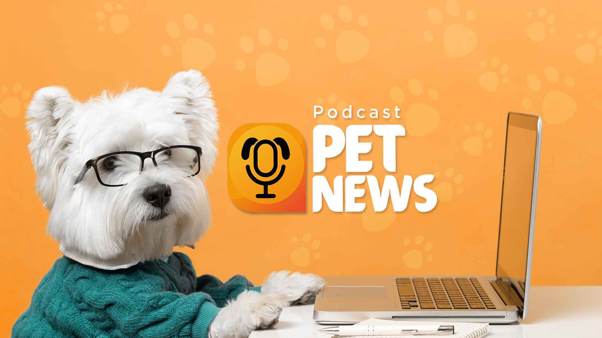 Pet News 
